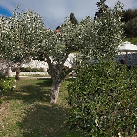 דירה Virginia Place